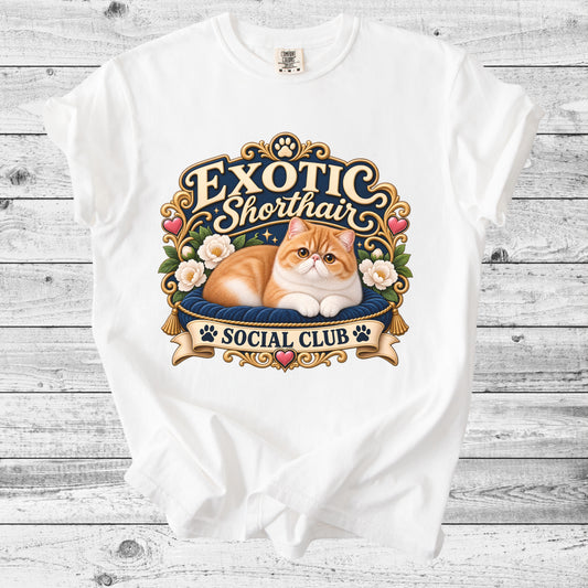 Exotic Shorthair Cat T-Shirt | Cute Exotic Cat Mom Gift