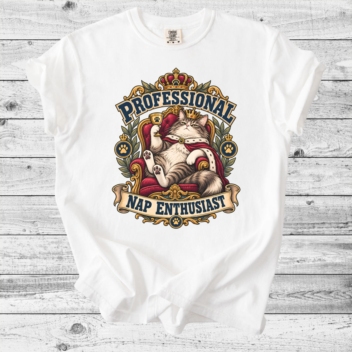 Professional Nap Enthusiast T-Shirt