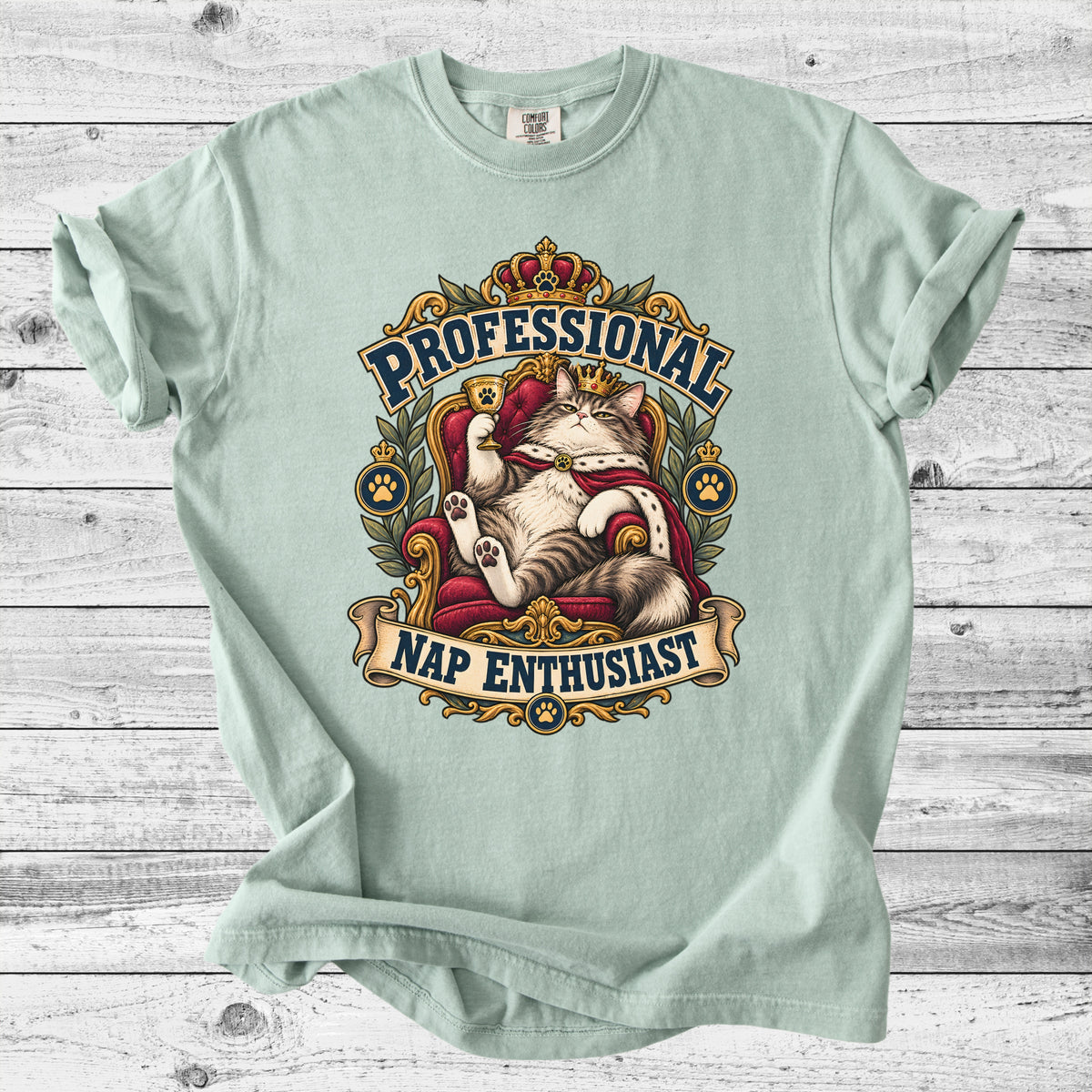 Professional Nap Enthusiast T-Shirt