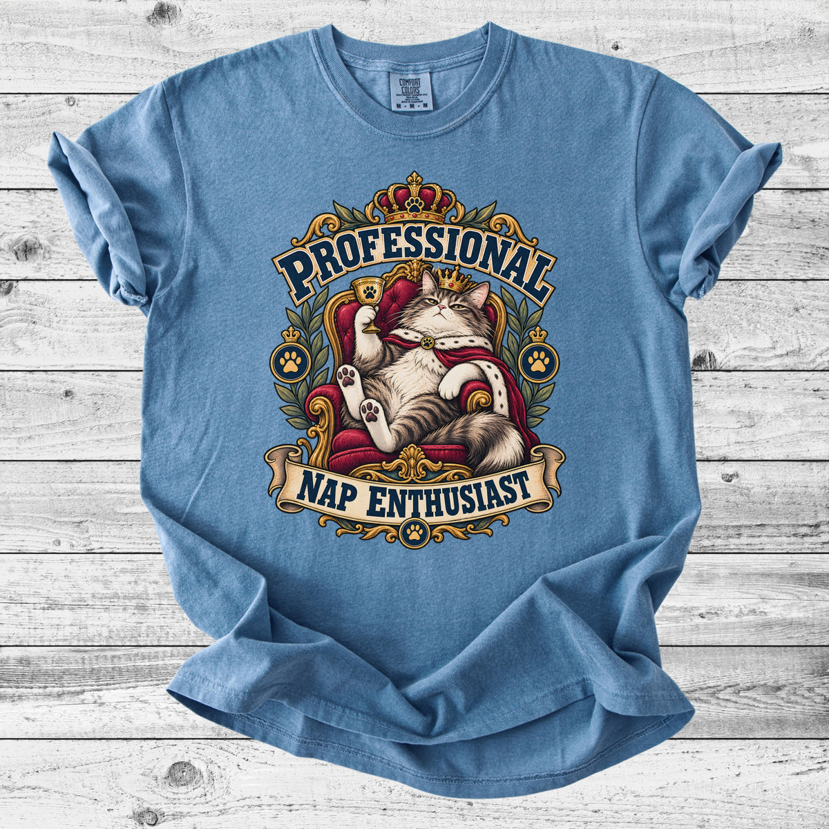 Professional Nap Enthusiast T-Shirt