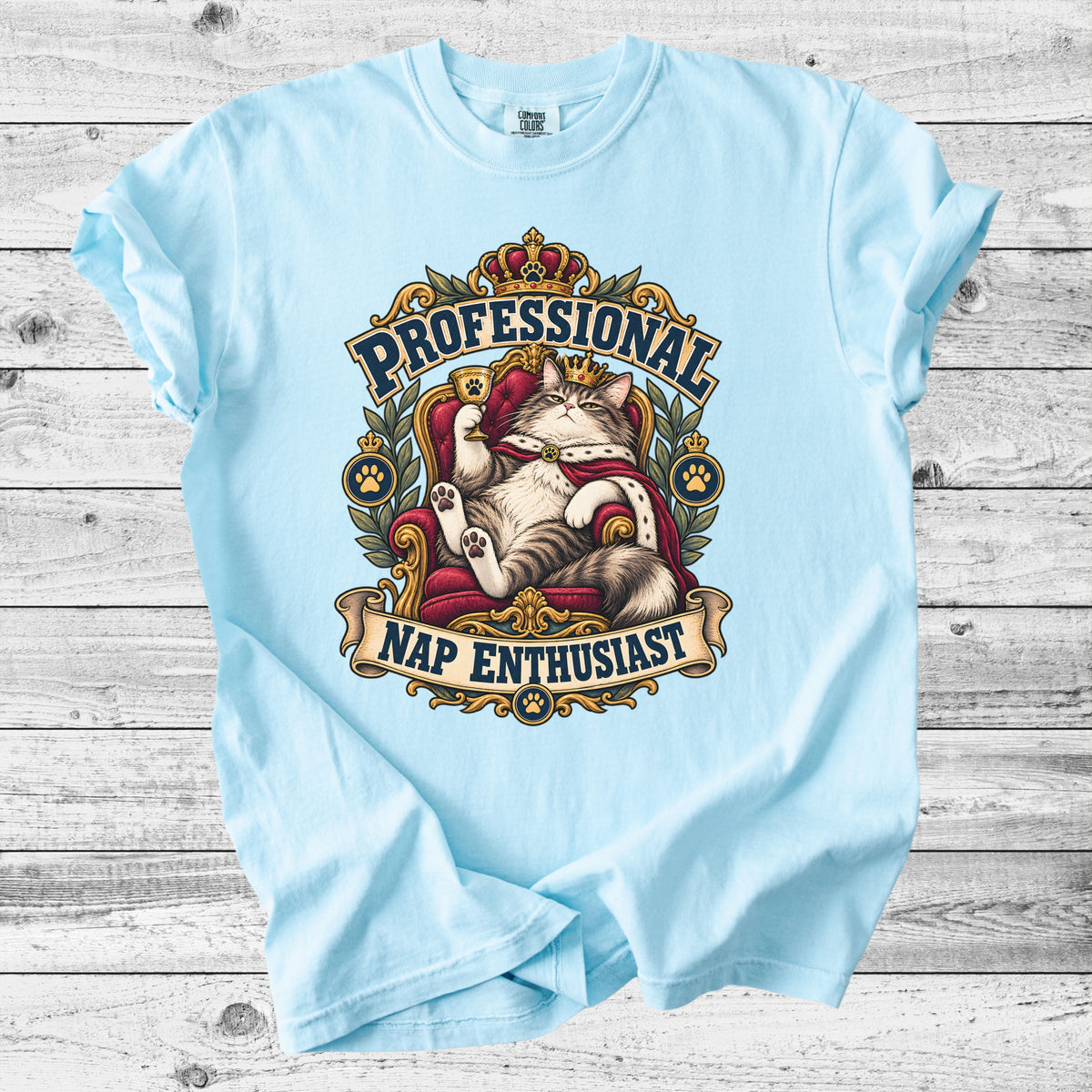 Professional Nap Enthusiast T-Shirt