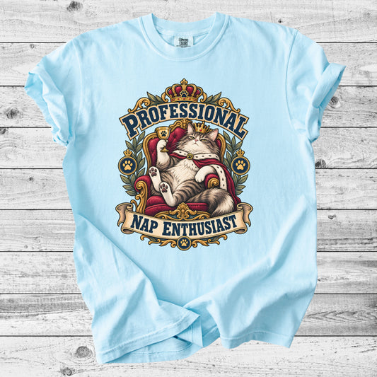 Professional Nap Enthusiast T-Shirt