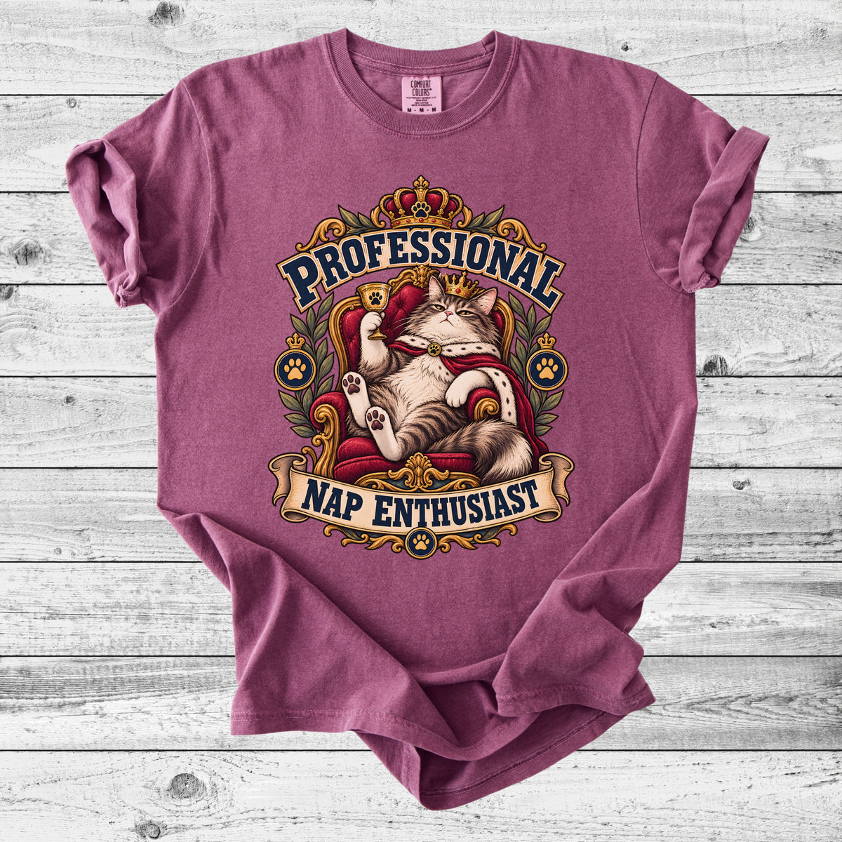 Professional Nap Enthusiast T-Shirt