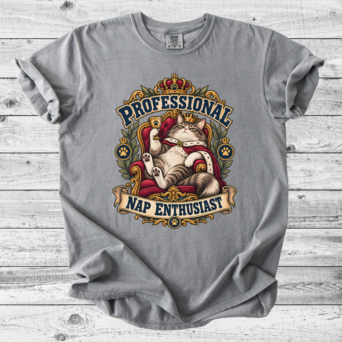 Professional Nap Enthusiast T-Shirt